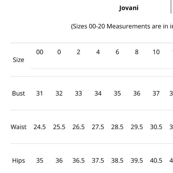 Jovani 100% Silk Halter Paisley Lined Beaded Evening Formal Long Gown Size 0 - Picture 10 of 10